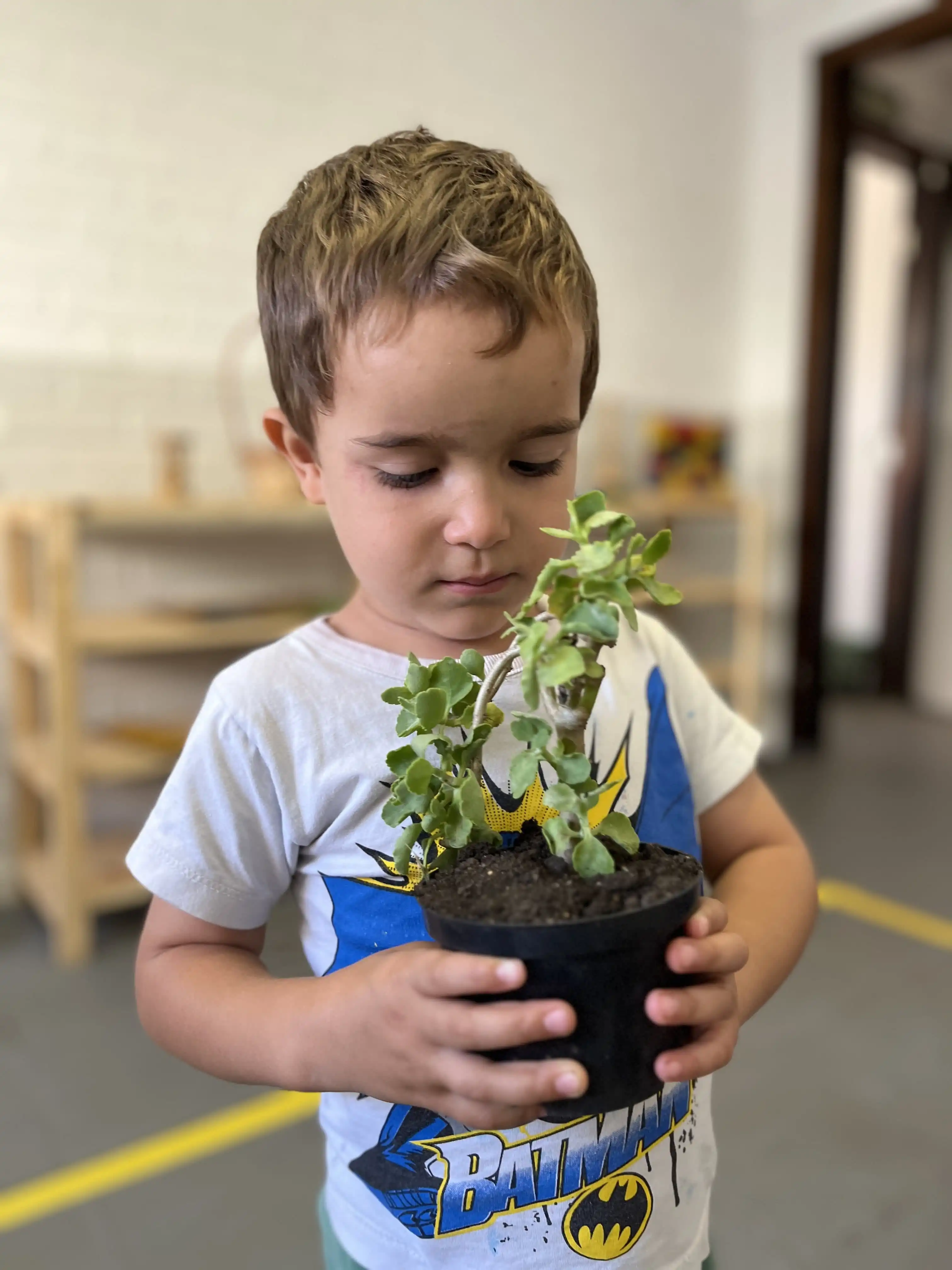 criança tendo cuidado com plantas