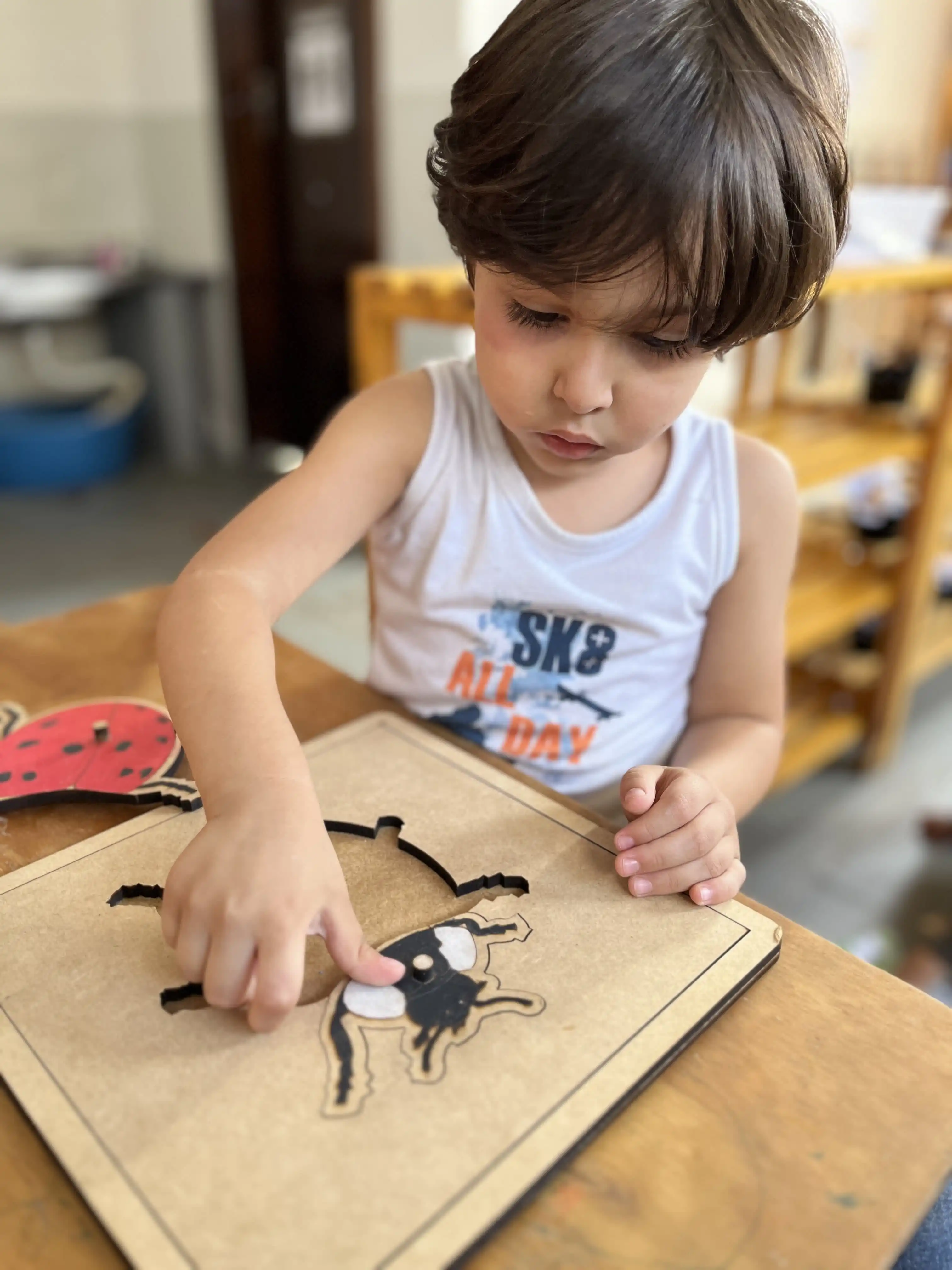 criança conhecendo a fisiologia de uma joaninha com material montessori